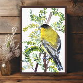 Goldfinch Bird in Desert Waterverf Art Poster