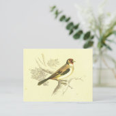 Goldfinch Bird Lithograaf Briefkaart (Staand voorkant)