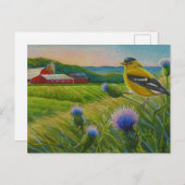 Goldfinch Bird Thistles Summer Boerderij Waterverf Briefkaart (Voorkant / Achterkant)