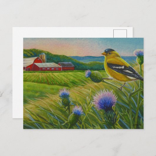 Goldfinch Bird Thistles Summer Boerderij Waterverf Briefkaart (Voorkant / Achterkant)