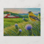 Goldfinch Bird Thistles Summer Boerderij Waterverf Briefkaart (Voorkant)