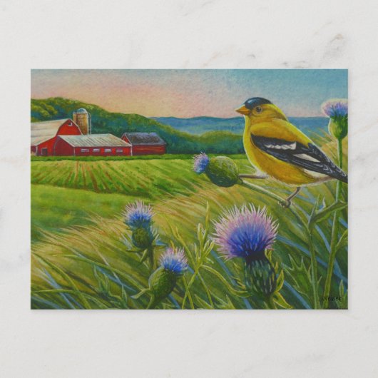 Goldfinch Bird Thistles Summer Boerderij Waterverf Briefkaart (Voorkant)