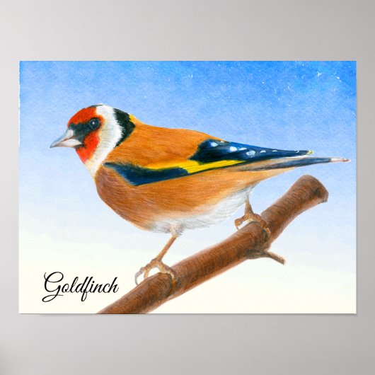 Goldfinch Bird Waterverf Painting Poster (Voorkant)
