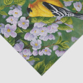 Goldfinch Birds & Apple Blossom Flowers Tissuepapier (Detail)