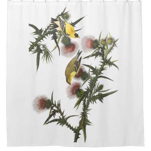 Goldfinch Birds Wildlife Audubon Showgordijn Douchegordijn (Voorkant)