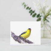 Goldfinch Briefkaart (Staand voorkant)