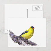 Goldfinch Briefkaart (Voorkant / Achterkant)