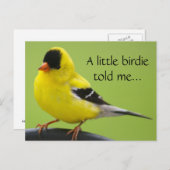 Goldfinch Briefkaart (Voorkant / Achterkant)