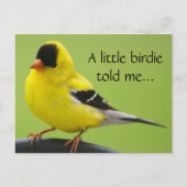 Goldfinch Briefkaart (Voorkant)