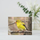 Goldfinch Briefkaart (Staand voorkant)