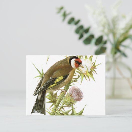 Goldfinch Briefkaart (Staand voorkant)