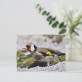 Goldfinch briefkaart (Staand voorkant)