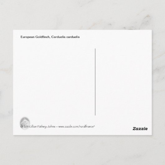 Goldfinch briefkaart (Achterkant)