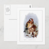 Goldfinch Briefkaart (Voorkant / Achterkant)