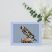 Goldfinch Briefkaart (Staand voorkant)