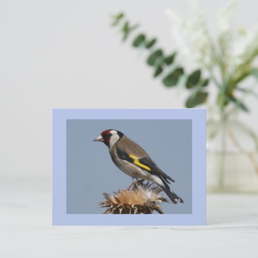 Goldfinch Briefkaart (Staand voorkant)
