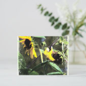 Goldfinch Briefkaart (Staand voorkant)