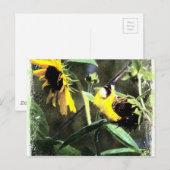 Goldfinch Briefkaart (Voorkant / Achterkant)
