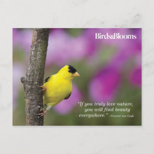 Goldfinch Briefkaart