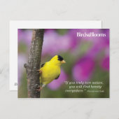 Goldfinch Briefkaart (Voorkant / Achterkant)