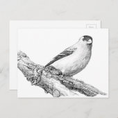 Goldfinch Briefkaart (Voorkant / Achterkant)