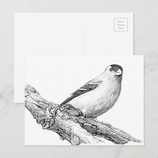 Goldfinch Briefkaart (Voorkant / Achterkant)