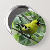 Goldfinch Button (Voorkant /achterkant)