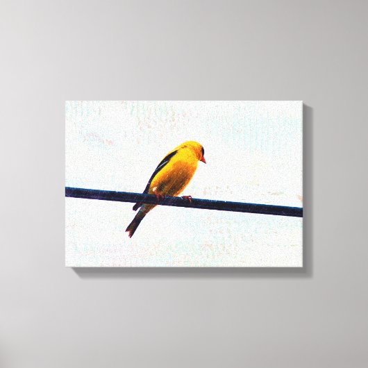 Goldfinch Canvas Afdruk (Voorkant)