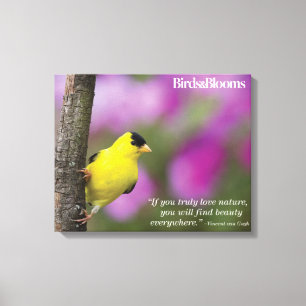 Goldfinch Canvas Afdruk