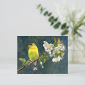 Goldfinch & Cherry Blossoms Briefkaart (Staand voorkant)