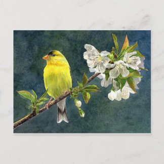 Goldfinch & Cherry Blossoms Briefkaart