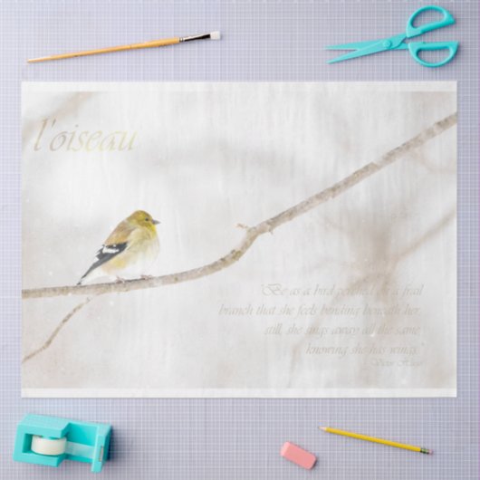 Goldfinch debetpapier tissuepapier (Craft)