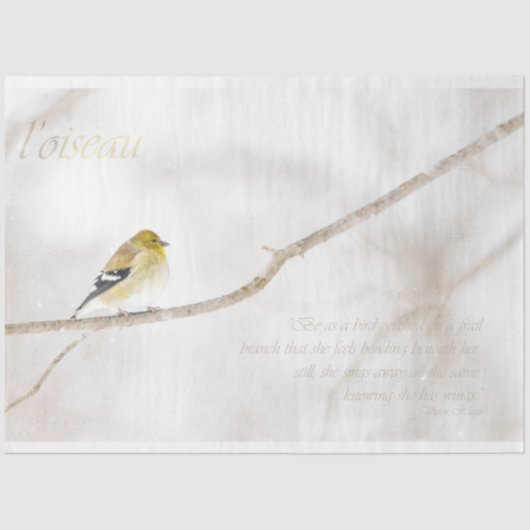 Goldfinch debetpapier tissuepapier (Voorkant)