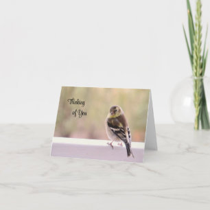 Goldfinch - Denken aan je Kaart