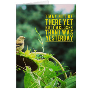 Goldfinch dichter dan ik gisteren was