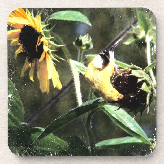 Goldfinch Drankjes Onderzetter (Voorkant)