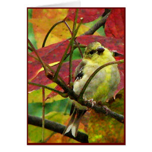 Goldfinch en Autumn Leaves