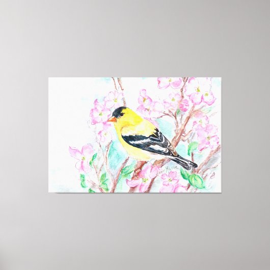 Goldfinch en Dogwood Flowers Canvas Afdruk (Voorkant)
