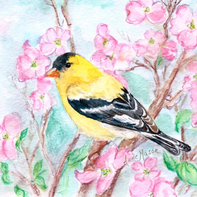 Goldfinch en Dogwood Flowers Kussen (Creator heeft geüpload)
