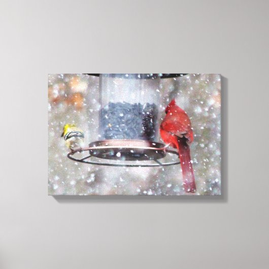 Goldfinch en kardinaal bij feeder canvas afdruk (Voorkant)