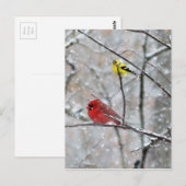 Goldfinch en kardinaal briefkaart (Voorkant / Achterkant)