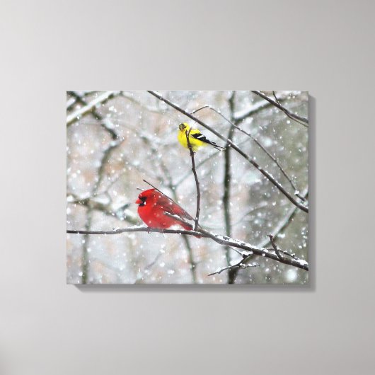 Goldfinch en kardinaal canvas afdruk (Voorkant)