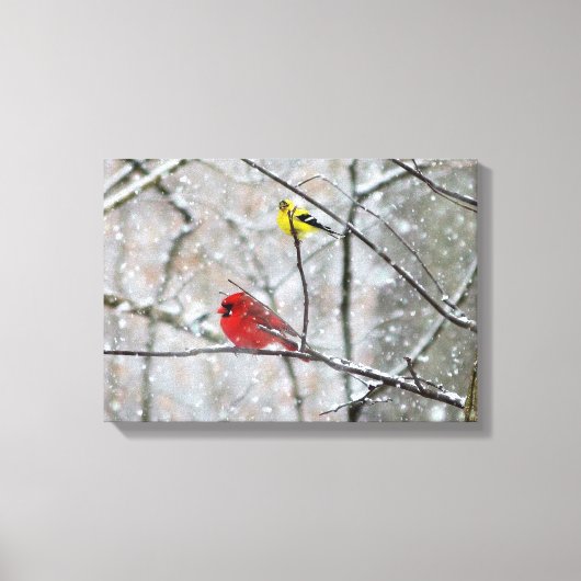 Goldfinch en kardinaal canvas afdruk (Voorkant)