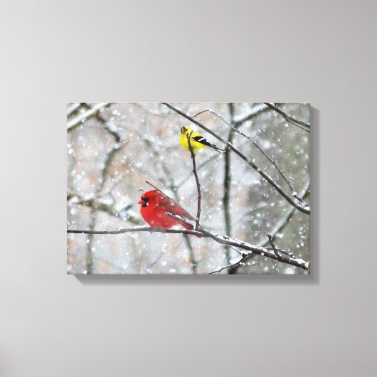 Goldfinch en kardinaal canvas afdruk (Voorkant)