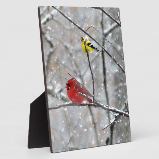 Goldfinch en kardinaal fotoplaat (Zijkant)