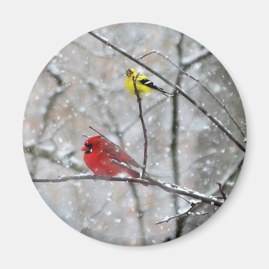 Goldfinch en kardinaal magneet (Voorkant)
