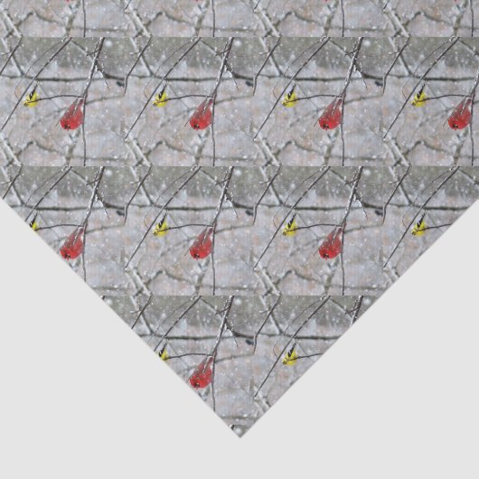 Goldfinch en kardinaal tissuepapier (Detail)