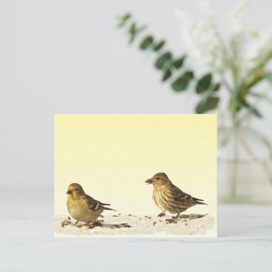 Goldfinch en Pine Siskin Briefkaart (Staand voorkant)