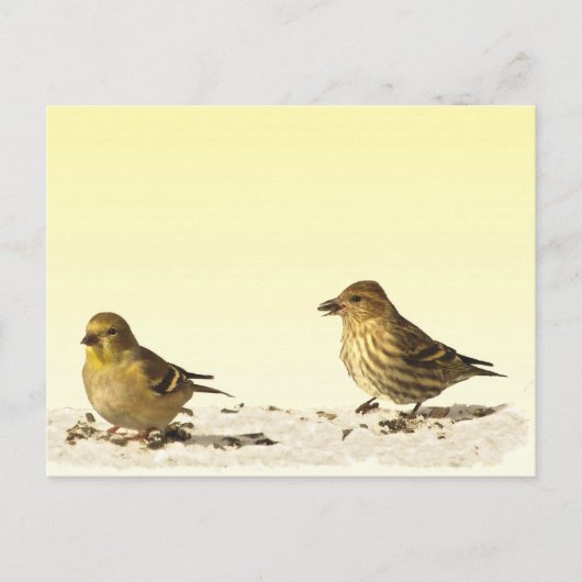 Goldfinch en Pine Siskin Briefkaart (Voorkant)