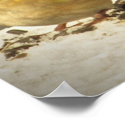 Goldfinch en Pine Siskin Poster (Hoek)